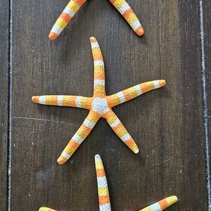 Orange and White Starfish Decor